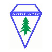 Logo du AS Blanc Vieux Thann