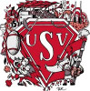 Logo du US Vénissieux