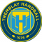 Logo Tremblay En France Handball 3