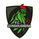 Logo FC Gundolsheim