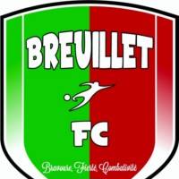 Logo du Breuillet FC