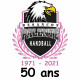 Logo Palente Besancon Handball 3