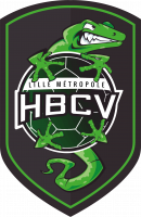 Logo du Lille Métropole Handball Club Vi