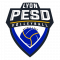 Logo Lyon PESD