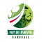 Logo Pays de Lesneven Handball