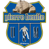 Logo du US Municipale Pierre Benite