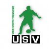 Logo du US Vibraye