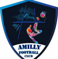 Logo du Amilly FC