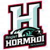 Logo du Anglet Hormadi Elite