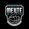 Logo du AS Basket Sarreguemines
