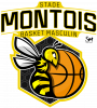 Stade Montois Basket Masculin