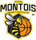 Logo Stade Montois Basket Masculin 4