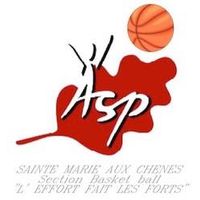 Logo du ASP Basket - Ste Marie aux Chêne