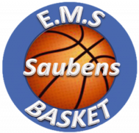 Logo du Elan Multisports Saubens