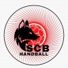 Logo du SC Beaucouzé Handball