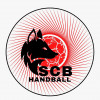 SC Beaucouzé Handball