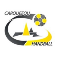 Logo du Carquefou HB