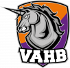 Logo du Villeneuve Ablon Handball