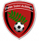 Logo Stade Saint Aubinais 2