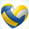 Logo du CS Betton Volley-Ball