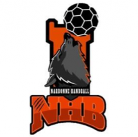 Logo du Narbonne Handball