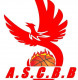 Logo Amiens Sporting Club Basket Ball 4