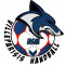 Logo USM Villeparisis Handball 2