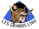 Logo du  AIR - Les Grands Lynx