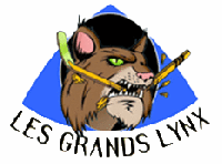 Logo du  AIR - Les Grands Lynx 2