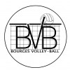 Logo du Bourges Volley-Ball