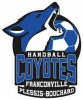 Logo du Handball Club de Franconville