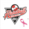 Logo du Handball Club Neuilly sur Marne