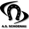 Logo du AS Schoenau
