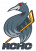 Logo du Cormorans de Rennes