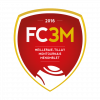 Logo du Meilleraie Montournais Menomblet FC