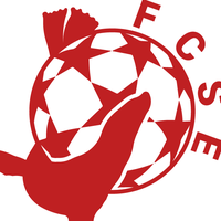 Logo du FC St Etienne