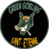 Logo du Green Goblins - Saint-Etienne Roller