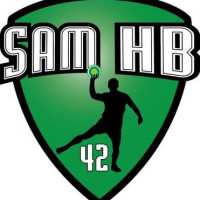 Logo du Saint Etienne Handball 2