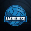 Logo du Ambérieu Volley Ball