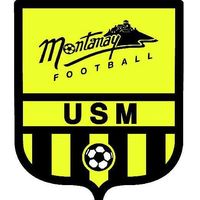 Logo du US Montanay 2