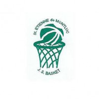 Logo du Loire & Sillon Basket Club Fémin