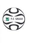Logo du Saulx les Chartreux FC