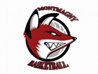 Logo du Montmagny Sports Basket 3