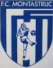 Logo du FC Montastrucois