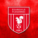 Logo Ecureuils Plogonnec 3