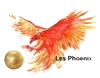 Logo du Phoenix Football School