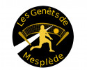 Logo du Genêts de Mesplède Volley