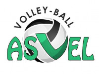 Logo du ASVEL Volley 4