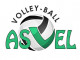 Logo ASVEL Volley
