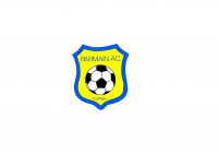 Logo du Parmain AC